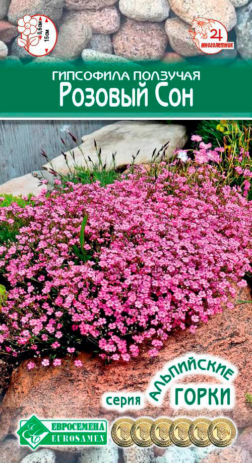 ������ ������ ������ ���������� ��������� �������� ������� ���, 0,1 � ���������� �����   ����