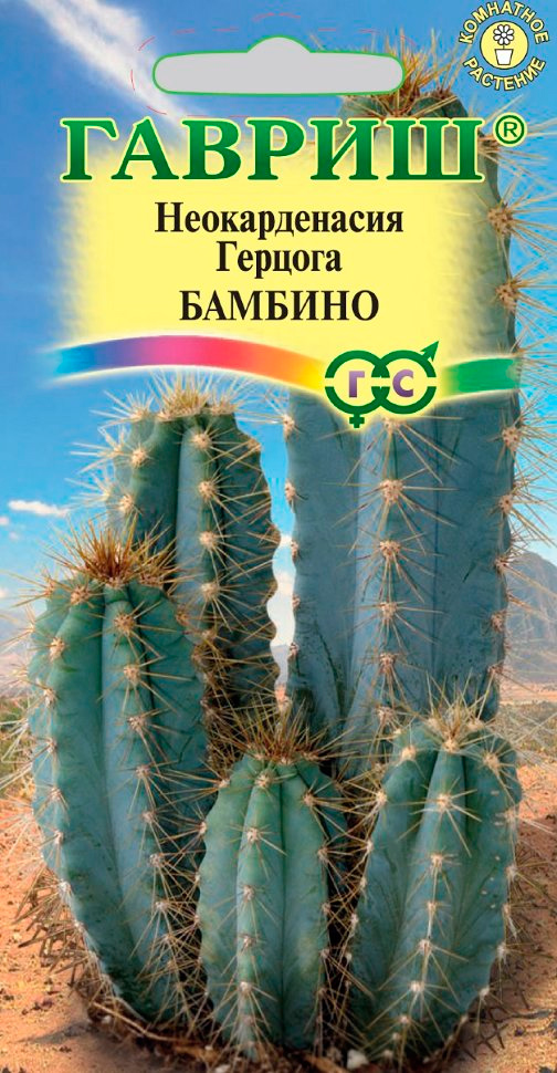 ������ ������ ������ ������ ������������� ������� �������, 5 ��.   ����