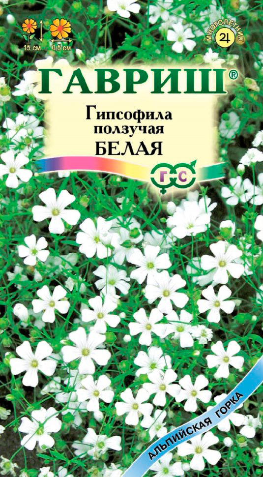 ������ ������ ������ ������ ��������� �������� �����, 0,1 �   ����