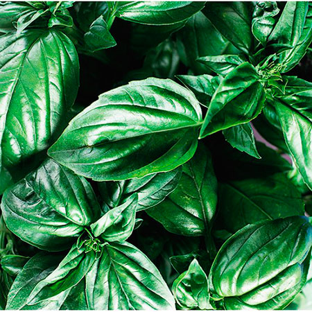 ������ ������ ������ ����� ������ ������� ������� �����, 1 �   ����