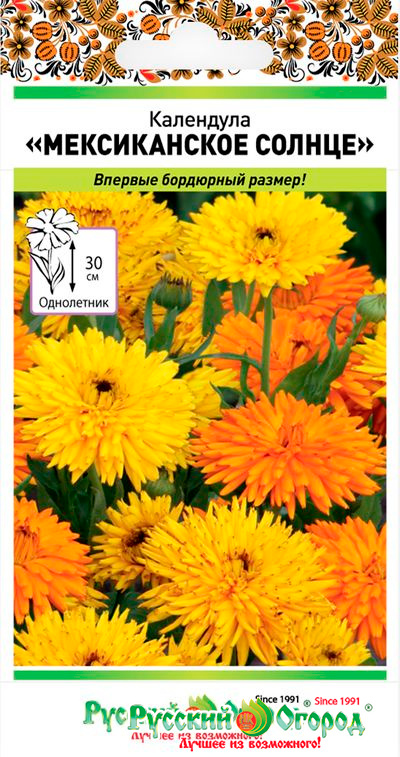 ������ ������ ������ ������� ������ ��������� ������������ ������, 10 ��.   ����