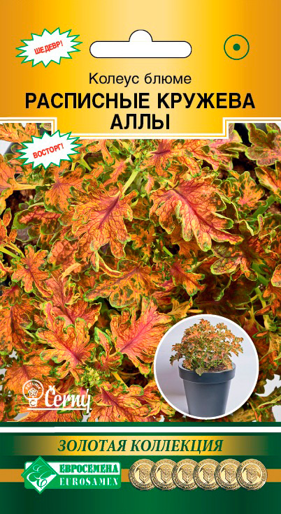 ������ ������ ������ ���������� ������ ����� ��������� ������� ����, 10 ����� Cerny ������� ���������   ����