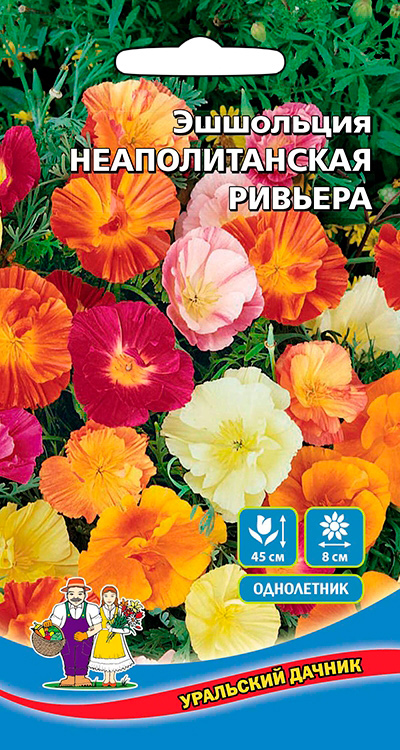 ������ ������ ������ ��������� ������ ��������� �������������� �������, �����, 0,2 �   ����