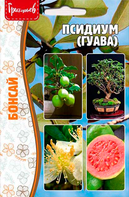 ������ ������ ������ ��������� ������� �����, 10 ��. ������   ����