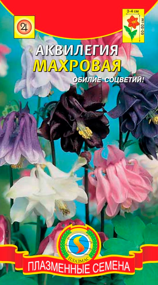 ������ ������ ������ ������� ��������� ��������, �����, 0,1 �   ����