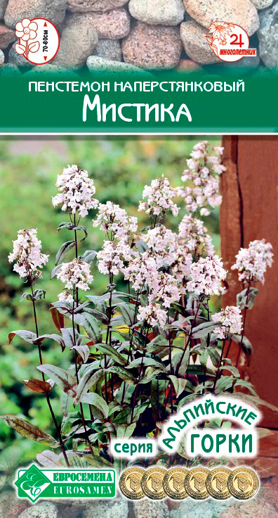 ������ ������ ������ ���������� ��������� �������������� �������, 5 ��. ���������� �����   ����