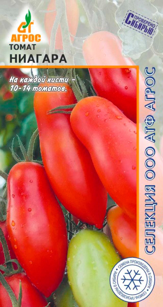 ������ ������ ������ ����� ����� �������, 0,08 � �������� �����   ����