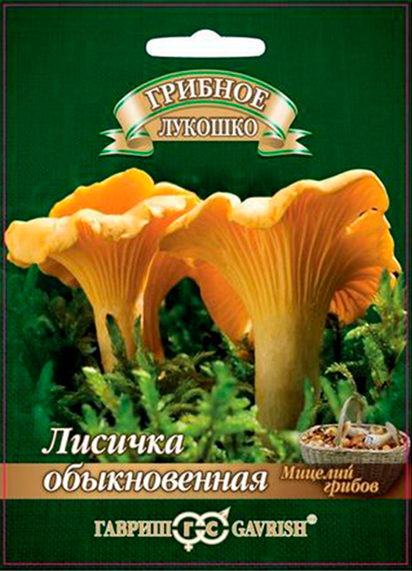 ������ ������ ������ ������ ���� ������� ������������ �� �������� ���������, 15 ��   ����