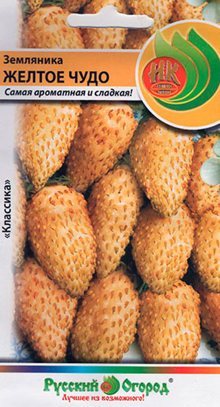 ������ ������ ������ ������� ������ ��������� ������ ����, 0,05 �   ����