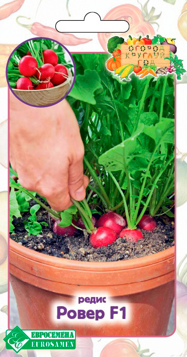 ������ ������ ������ ���������� ����� ����� F1, 0,5 � ������ ������� ���   ����