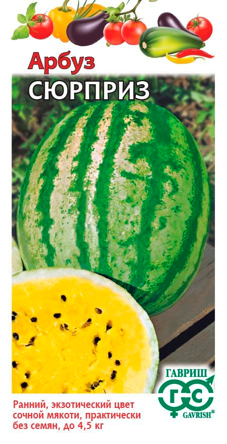 ������ ������ ������ ������ ����� �������, 1 �   ����