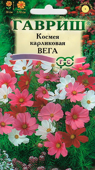 ������ ������ ������ ������ ������ ���������� ����, �����, 0,5 �   ����