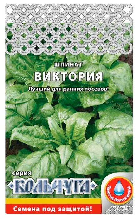 ������ ������ ������ ������� ������ ������ ��������, 1 � ��������   ����