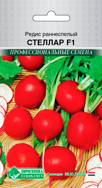 ������ ������ ������ ���������� ����� ������� F1, 0,5 � Bejo Zaden ���������������� ������   ����