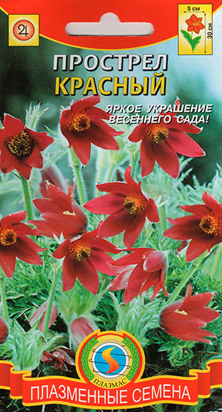 ������ ������ ������ ������� �������� �������, 10 ��.   ����