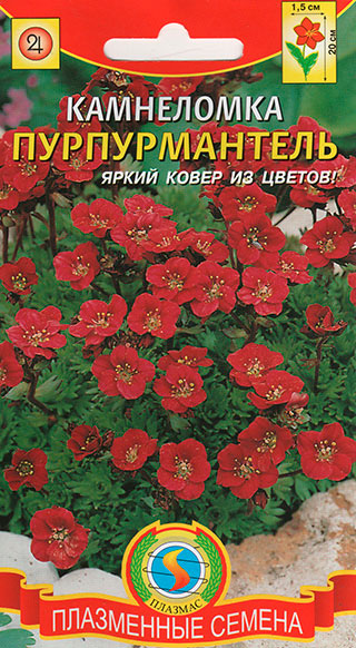 ������ ������ ������ ������� ���������� �������������, 0,01 �   ����