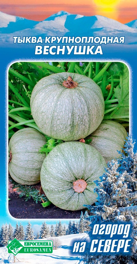 ������ ������ ������ ���������� ����� ����������� ��������, 5 ��. ������ �� ������   ����