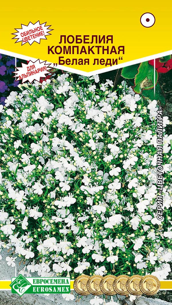 ������ ������ ������ ���������� ������� ����� ���� 0,1 � ��������� �������   ����