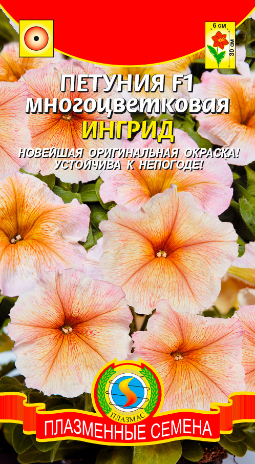 ������ ������ ������ ������� ������� �������������� ������ F1, 10 �����   ����