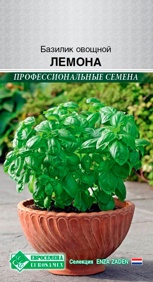 ������ ������ ������ ���������� ������� ������� ������, 0,3 � Enza Zaden ���������������� ������   ����