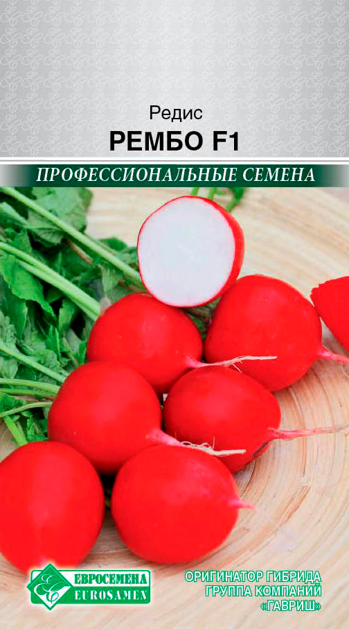 ������ ������ ������ ���������� ����� ����� F1, 1 � ���������������� ������   ����