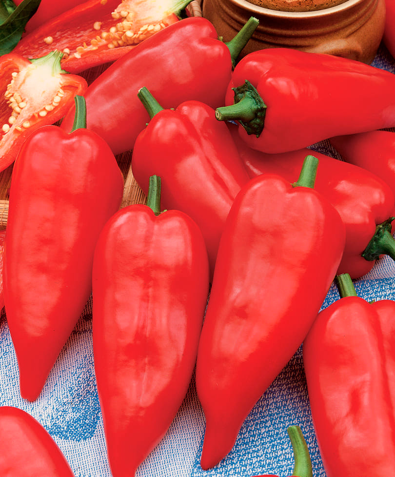 ������ ������ ������ ���� ������ ����� ������� ������ F1, 5 ��.   ����