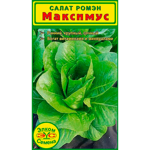 ������ ������ ������ ����� ������ ����� ��������, 15 ��.   ����