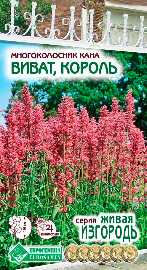 ������ ������ ������ ���������� ������������� ���� �����, ������, 10 ��. ����� ��������   ����