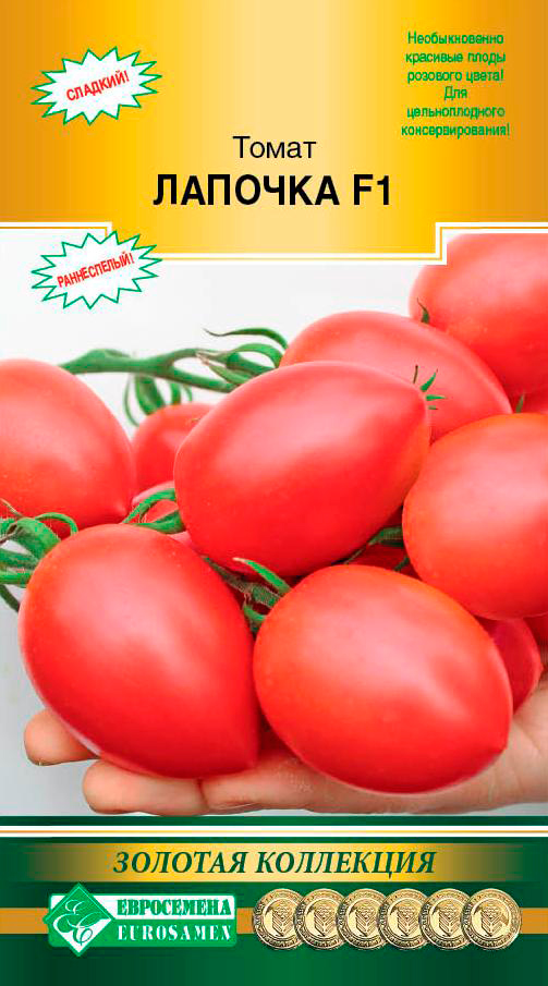 ������ ������ ������ ���������� ����� ������� F1, 10 ��. ������� ���������   ����