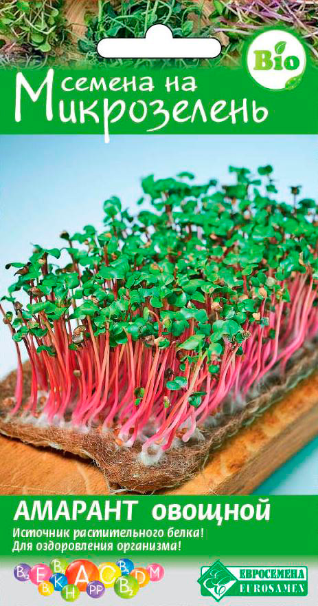 ������ ������ ������ ���������� ����������� ������� �������, 1 �   ����