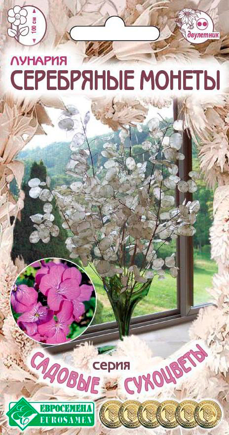 ������ ������ ������ ���������� ������� ���������� ������, 10 ��. ������� ���������   ����