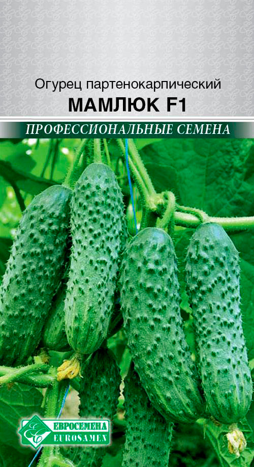 ������ ������ ������ ���������� ������ ������ F1, 5 ��. ���������������� ������   ����