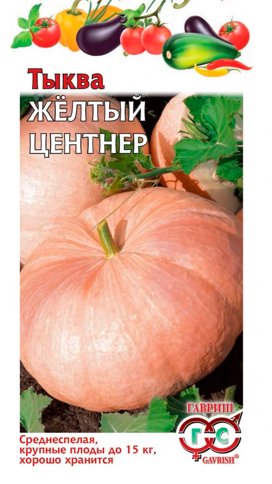 ������ ������ ������ ������ ����� ������ �������, 2 �   ����