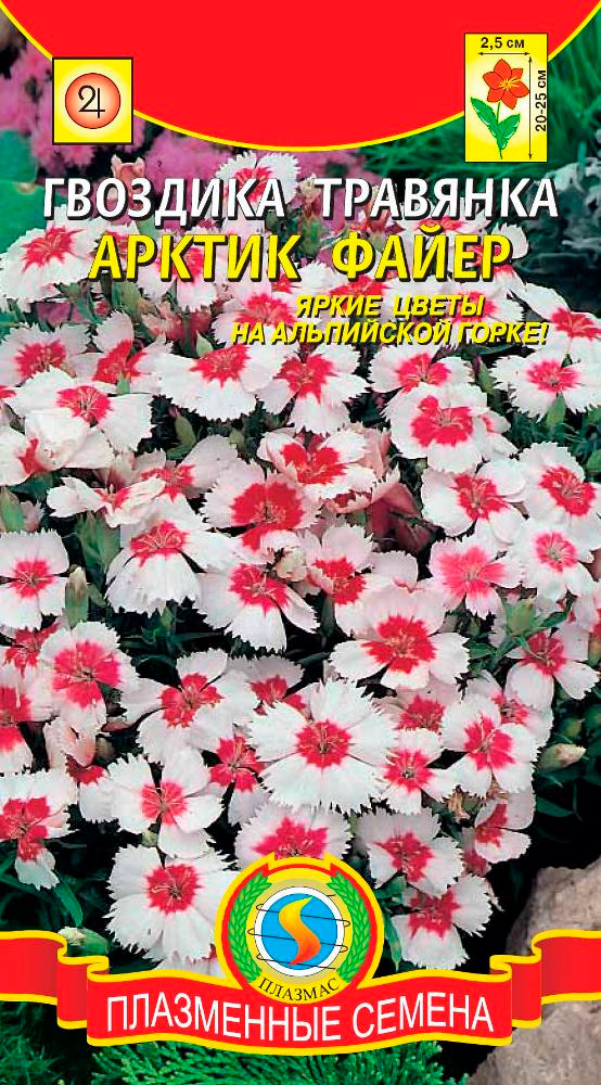 ������ ������ ������ ������� �������� �������� ������ �����, 14 ��.   ����