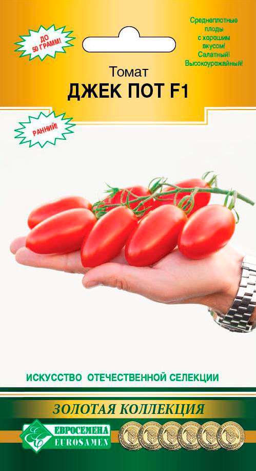 ������ ������ ������ ���������� ����� ���� ��� F1, 5 ��. ������� ��������� (��)   ����