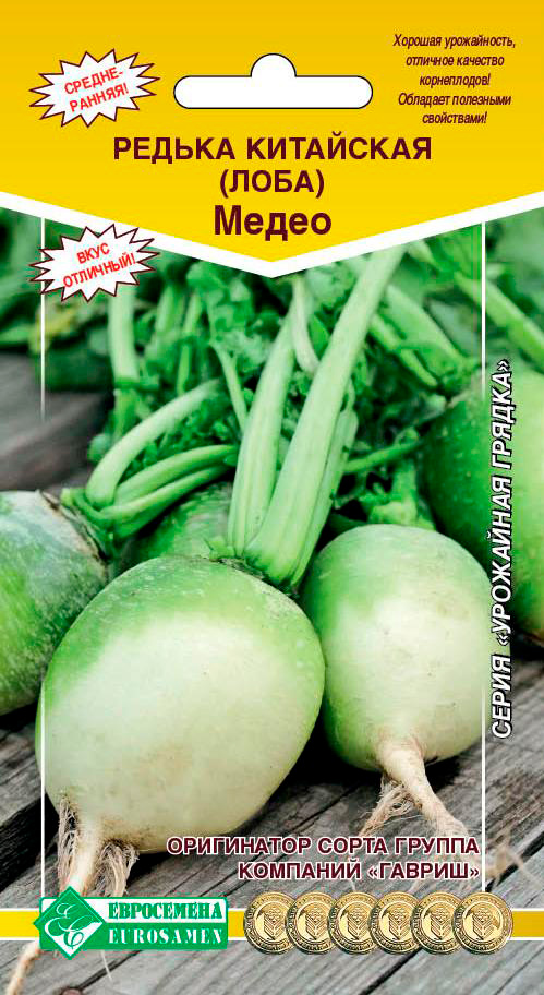 ������ ������ ������ ���������� ������ ��������� (����) �����, 1 �   ����