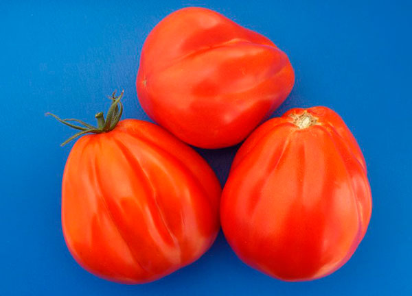 ������ ������ ������ ����� ������ ����� ������ �������, 5 ��.   ����