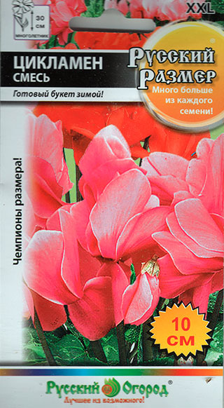 ������ ������ ������ ������� ������ �������� ������� ������, �����, 5 ��.   ����