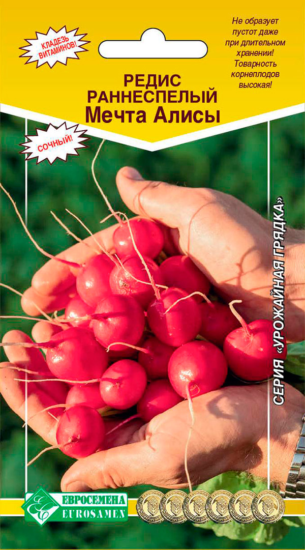 ������ ������ ������ ���������� ����� ����� �����, 0,5 �   ����