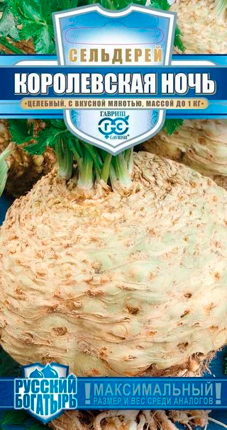 ������ ������ ������ ������ ��������� �������� ����������� ����, 0,1 �, ������� ��������   ����