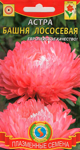 ������ ������ ������ ������� ����� ����� ���������, 0,3 �   ����