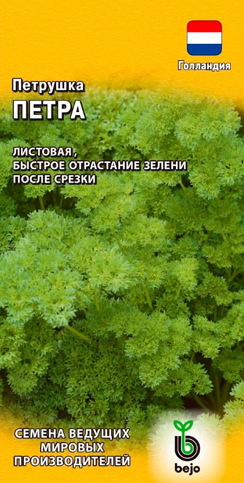 ������ ������ ������ ������ �������� �������� �����, 0,5 � Bejo Zaden   ����