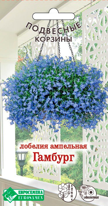 ������ ������ ������ ���������� ������� ��������� �������, 0,1 � ��������� �������   ����