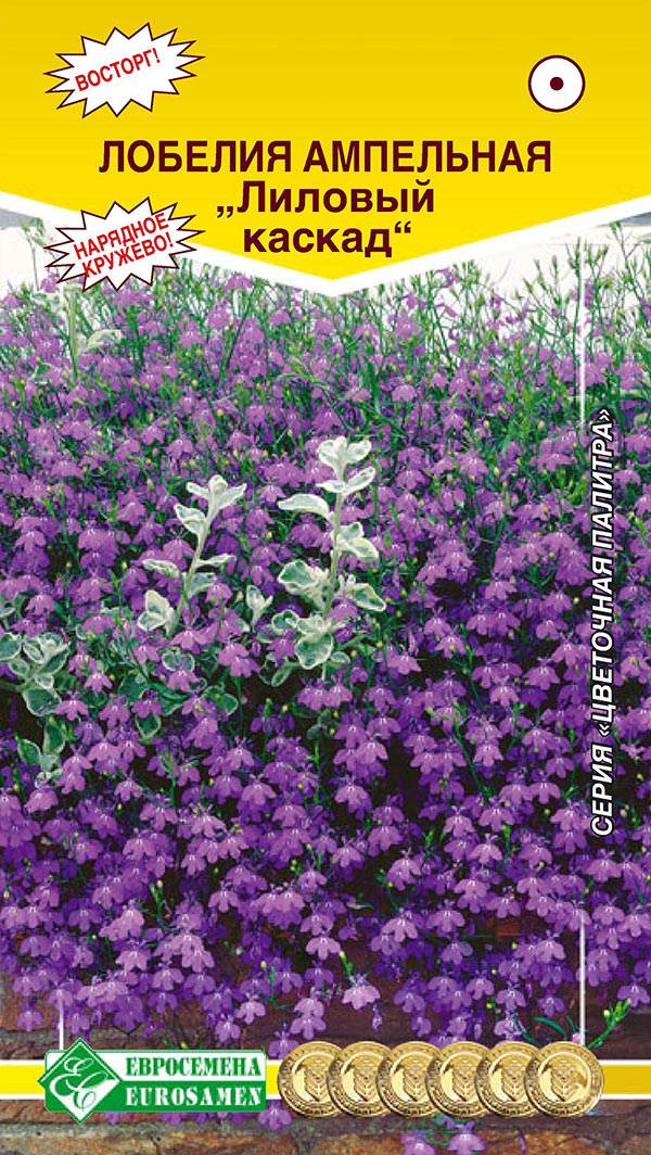 ������ ������ ������ ���������� ������� ��������� ������� ������, 0,1 �   ����