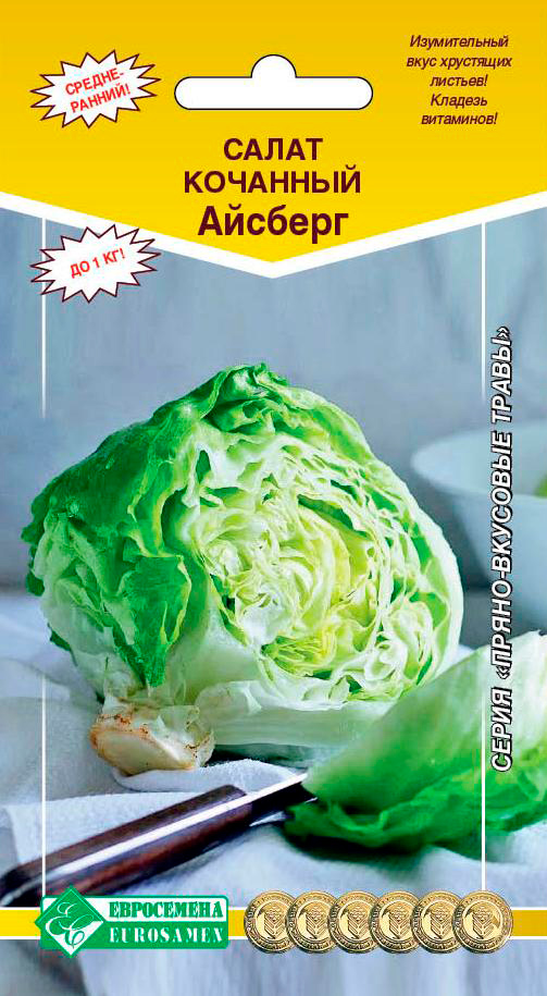 ������ ������ ������ ���������� ����� �������� �������, 1 �   ����