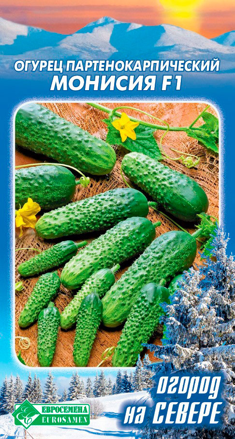 ������ ������ ������ ���������� ������ ������� F1, 5 ��. ������ �� ������   ����