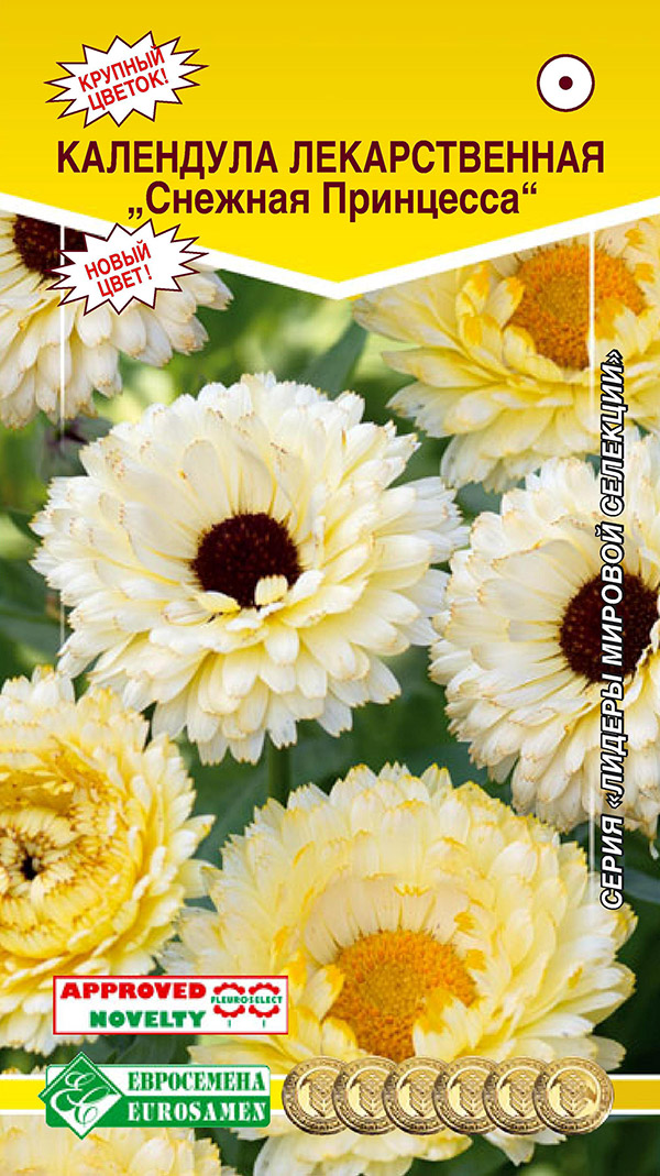 ������ ������ ������ ���������� ��������� ������������� ������� ���������, 0,1 �   ����