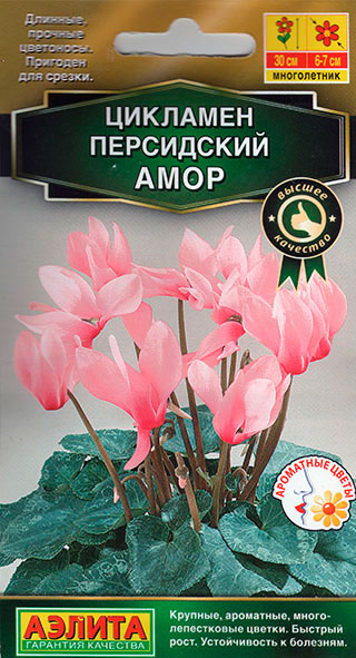 ������ ������ ������ ������ �������� ���������� ����, 3 ��. ������ ��������   ����