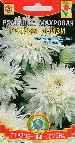 ������ ������ ������ ������� ������� �������� ������ �����, 20 ��.   ����