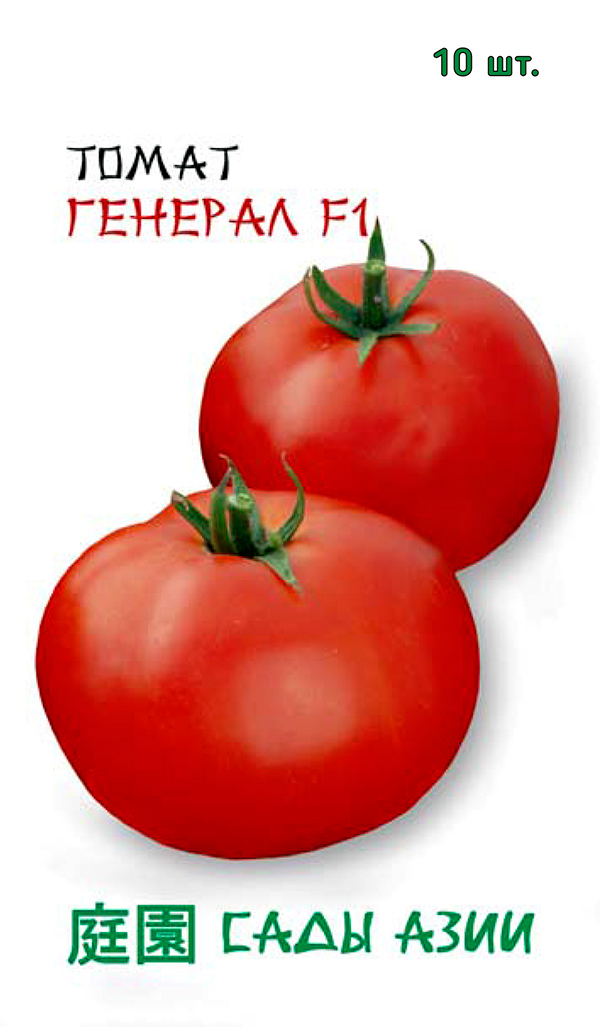 ������ ������ ������ ���� ���� ����� ������� F1, 10 ��. Sakata   ����